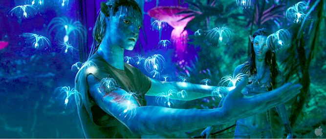 avatar obrazek 2